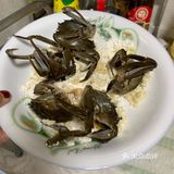 超级无敌鲜的六月黄面拖蟹