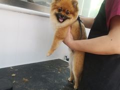 -北京恒爱动物医院(清景园分院)