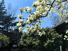 -湛山寺