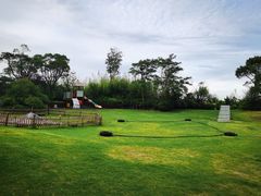 -上海崇明金茂凯悦酒店