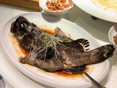 清蒸石斑鱼-鱼乐轩·俄罗斯海鲜直供餐厅(群力店)