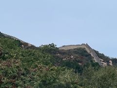 -味多美蛋糕(梨园店)