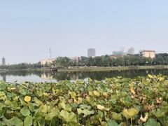 -西海子公园
