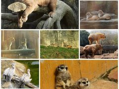 -杭州野生动物世界