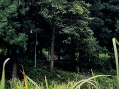 -阿哈湖国家湿地公园