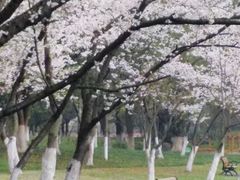 -范蠡湖公园