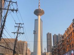 -辽宁电视塔