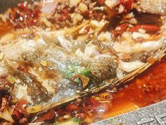 -马有鱼·馕坑烤全鱼(美美2店)