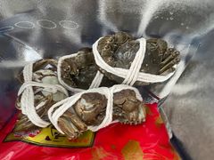 -阳澄湖大闸蟹·琼灵阁牌品牌连锁(吴中总店)