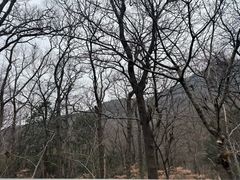 -句容茅山景区