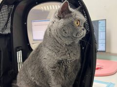 -达爱动物医院·犬猫分区·CT·复杂眼科(远洋山水分院)