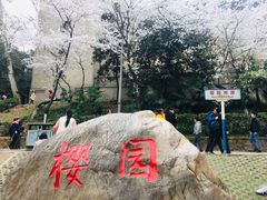-武汉大学-樱园