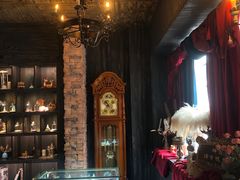 -雪灵魔法世界SHELLY’S TAROT(大良桂畔里店)