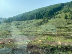 -云座·时光·观景咖啡厅(五爷庙店)