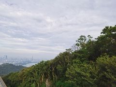 -紫金山山顶公园