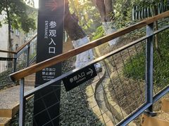 -马王堆汉墓遗址