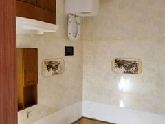 -金山农民画村-枫泾波兰倒置屋