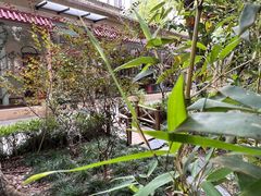 -中和·国风茶馆(愚园路店)