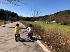 -武陵山森林公园