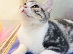 -乐宠宠物店(世纪金源店)