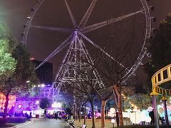 -锦江乐园舞狸花花游园会(夜场专享)