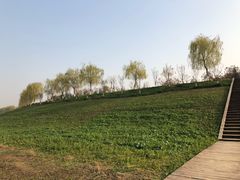 -洨河生态公园
