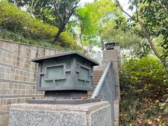 -恬阿姨庭院餐厅·生日宴