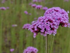 -杭州城北体育公园