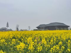 -中国天府农业博览园