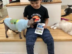 -李小姐の猫咖啡馆(五角场店)