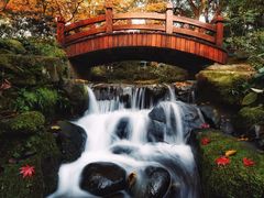 -中国茶叶博物馆(双峰馆区)