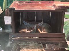 -绿色星球动物主题公园