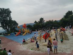 -铁山坪森林公园