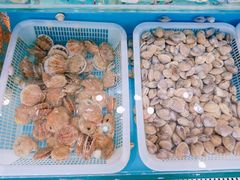 -港畔赶海蒸汽海鲜烧烤自助(仙螺岛店)