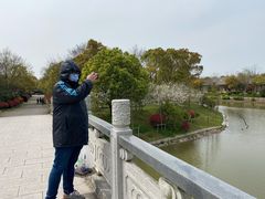 -上海海湾国家森林公园