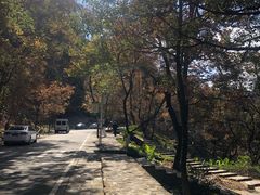 -广州市石门国家森林公园