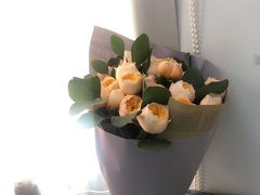 -双季花艺园艺市场(浦东店)