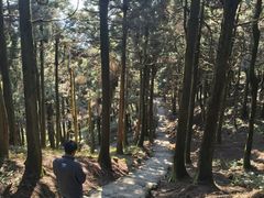 -南岳衡山风景名胜区