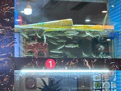 -浔味·山屿湖·正宗淳牌全鱼宴老字号