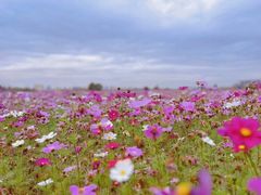 -东钱湖旅游度假区