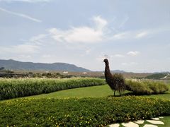 -光明小镇欢乐田园
