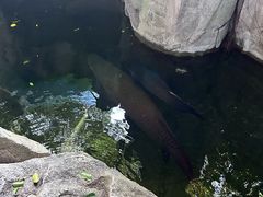 -青青世界