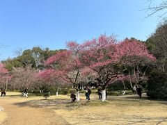 -杭州植物园
