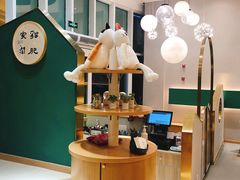 大堂-飞行喵MR PILOT|猫舍·猫咖(静安大融城店)