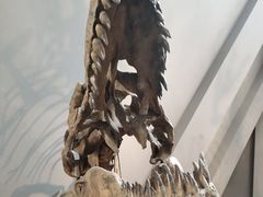 -重庆自然博物馆(新馆)