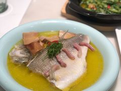 非一般鲈鱼-港丽餐厅
