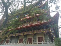 -宝莲禅寺