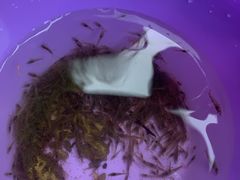 -华蓥山天意谷景区