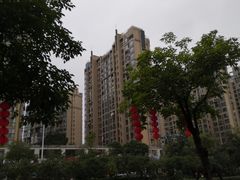 -水岸阳光