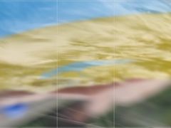 -重庆海昌加勒比海水世界